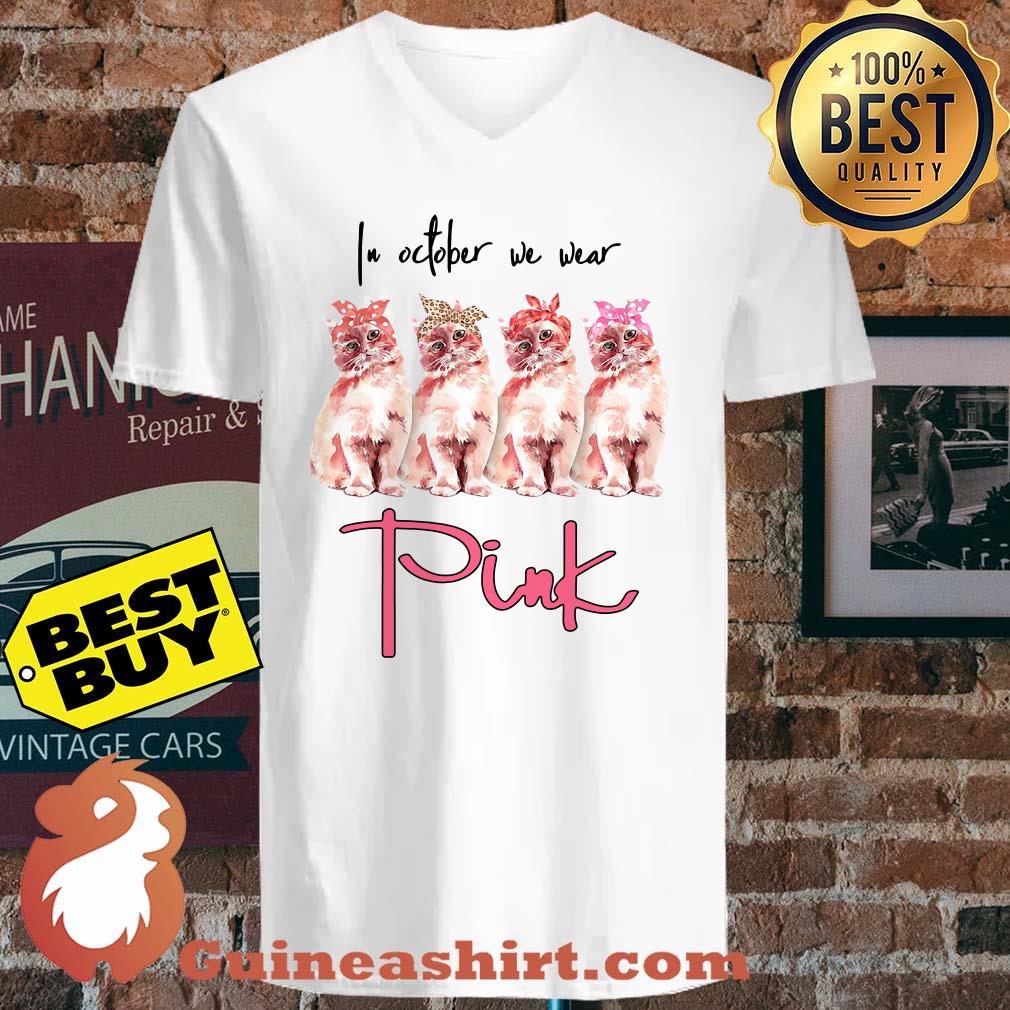 In October we wear pink cats awareness v neck