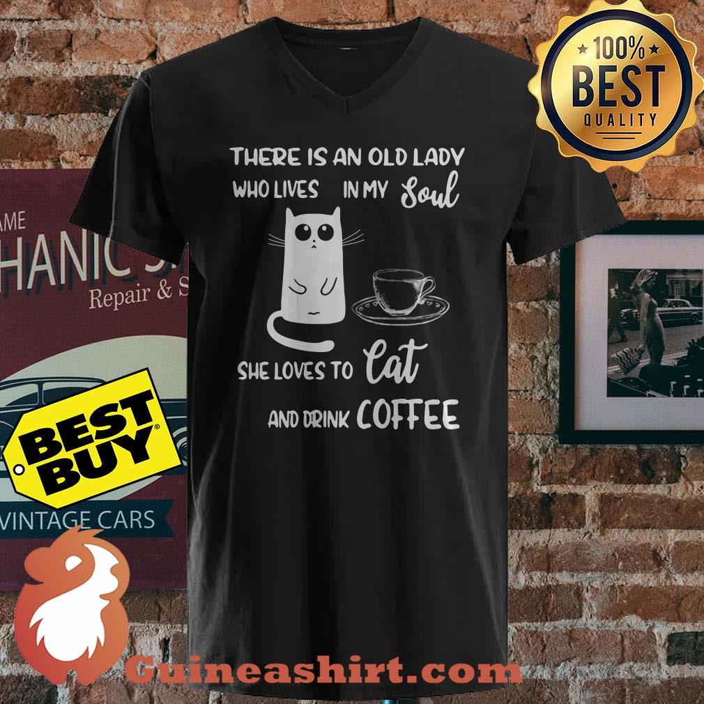 There Is An Old Lady Who Loves In My Soul She Loves To Cat And Drink Coffee shirt