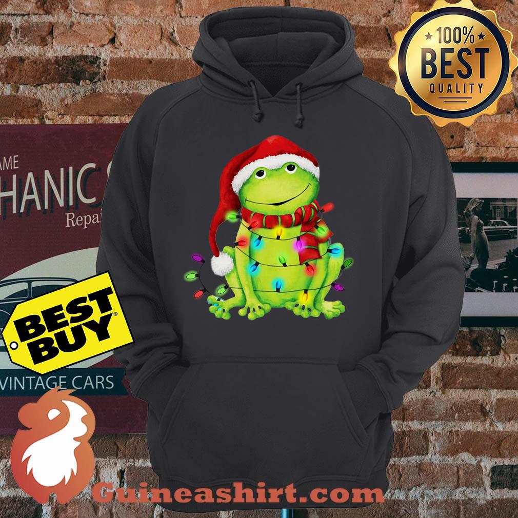 Frog Merry And Bright Christmas hoodie