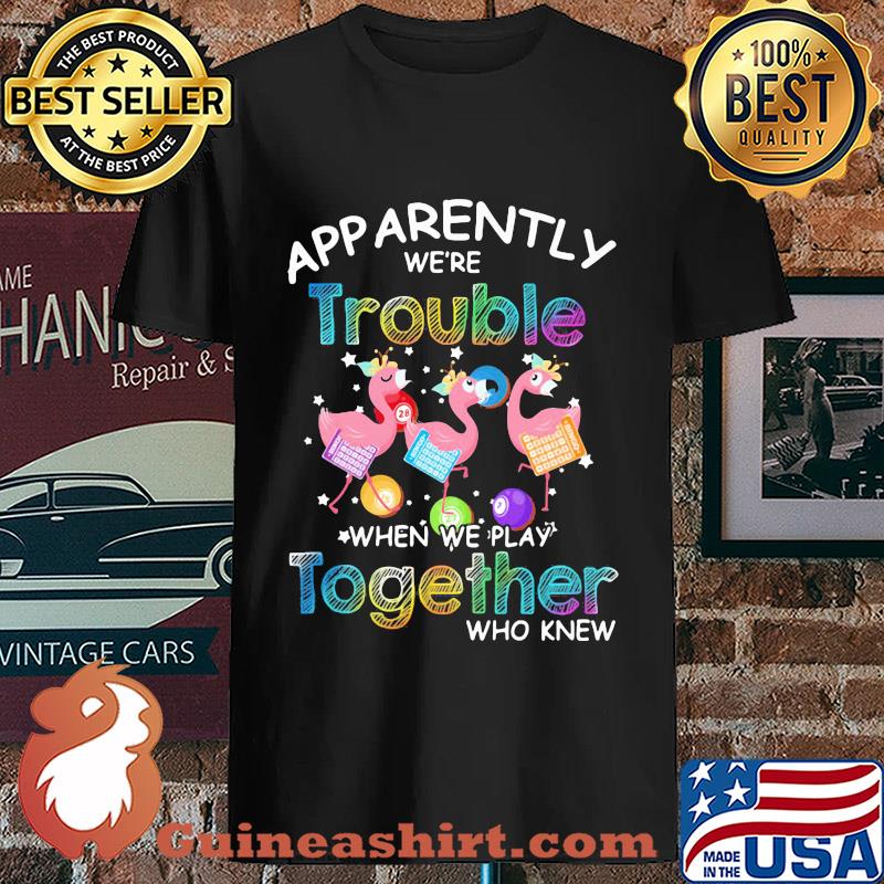 Apparently we're trouble when we play together who knew Flamingo version s Unisex