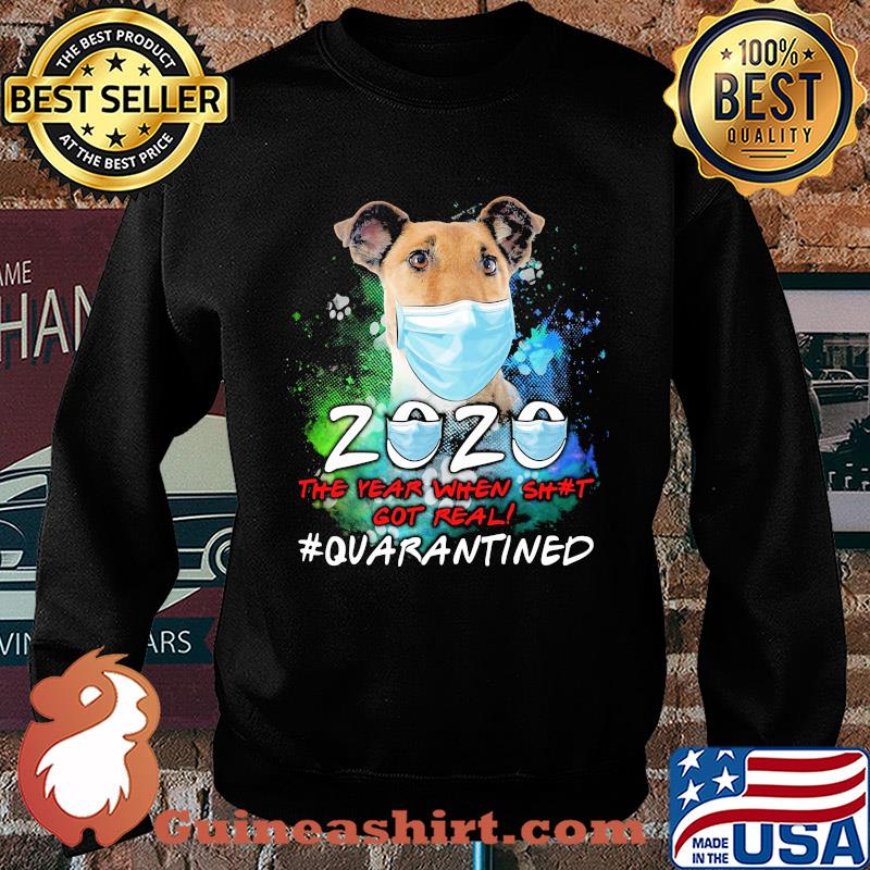 Chilean Fox Terrier 2020 the year when shit got real #quarantined mask s Sweater