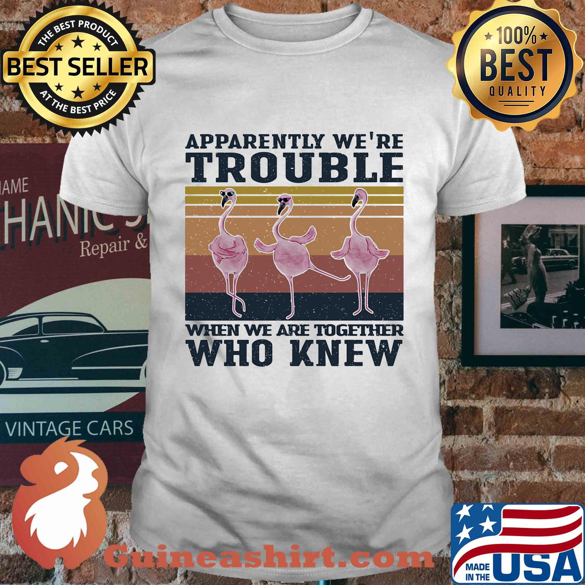 Flamingo apparently we're trouble when we are together who knew vintage shirt