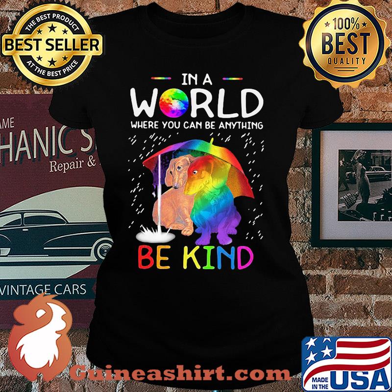 LGBT in world where you can be anything be kind dachshund rain s Ladies tee