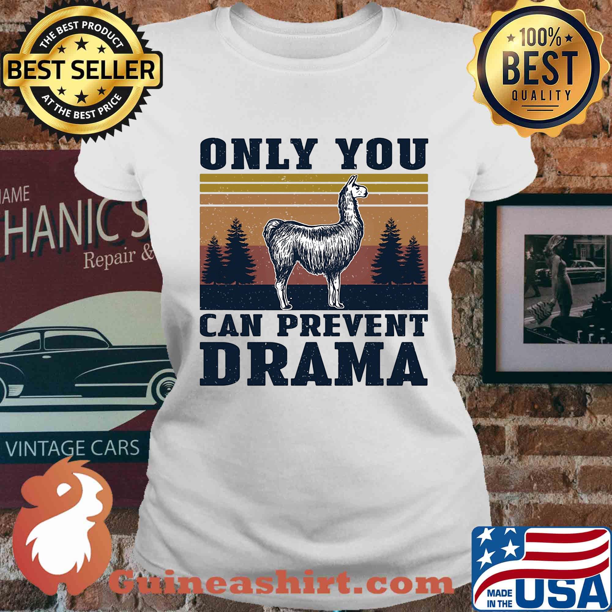 Only you can prevent drama vintage s Ladies tee