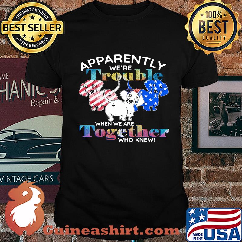 Apparently we're trouble Dachshund American flag veteran Independence Day shirt
