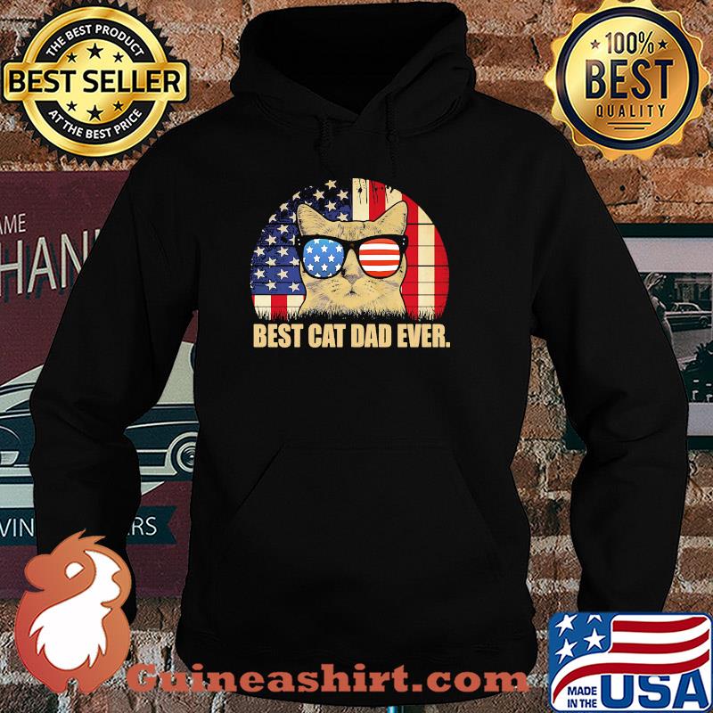 Best cat dad ever American flag veteran Independence Day vintage s Hoodie