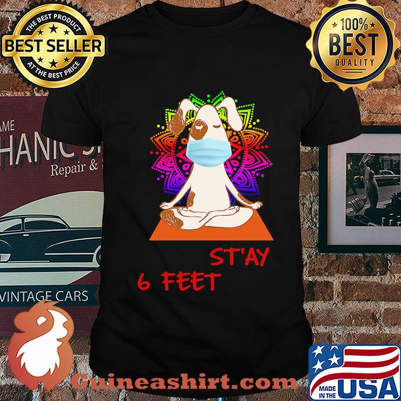 Dog yoga chill stay 6 feet mask covid-19 shirt