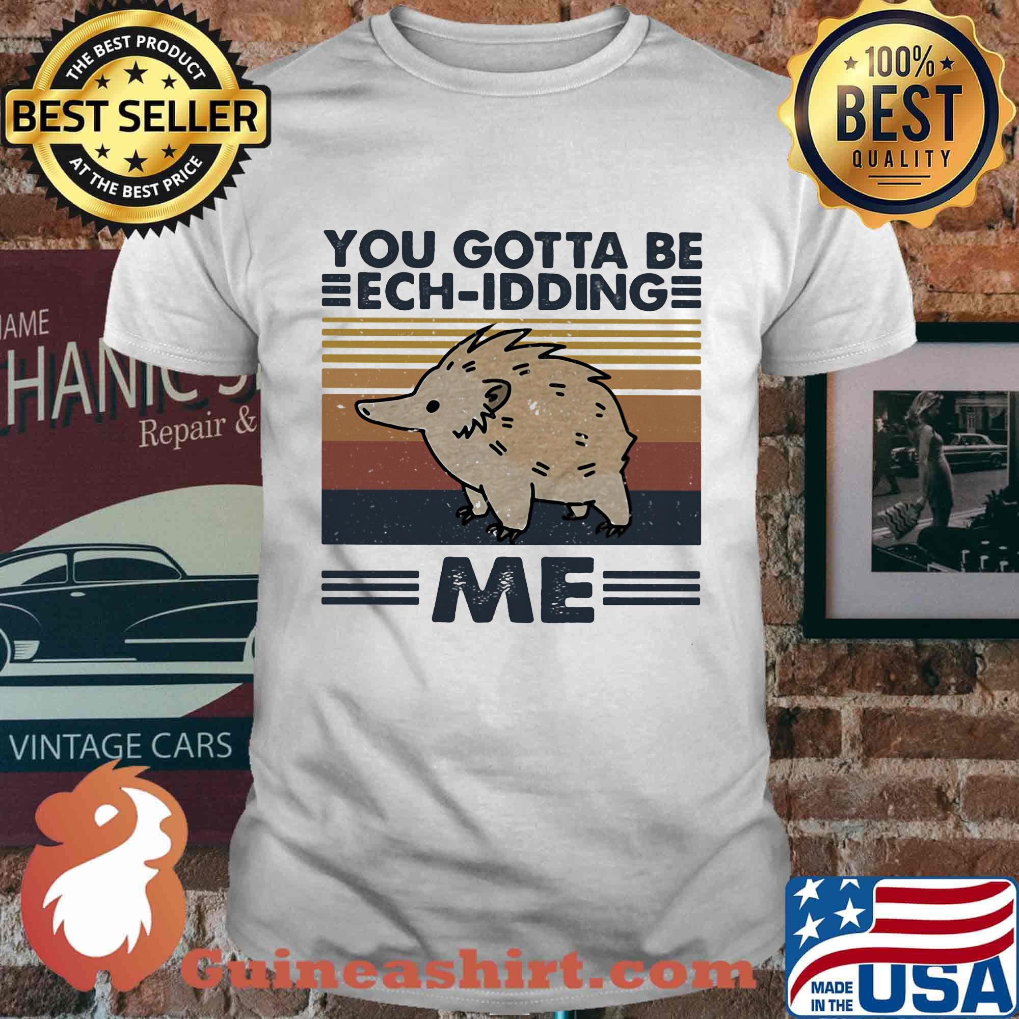 Hedgehog you gotta be ech-idding me vintage retro shirt