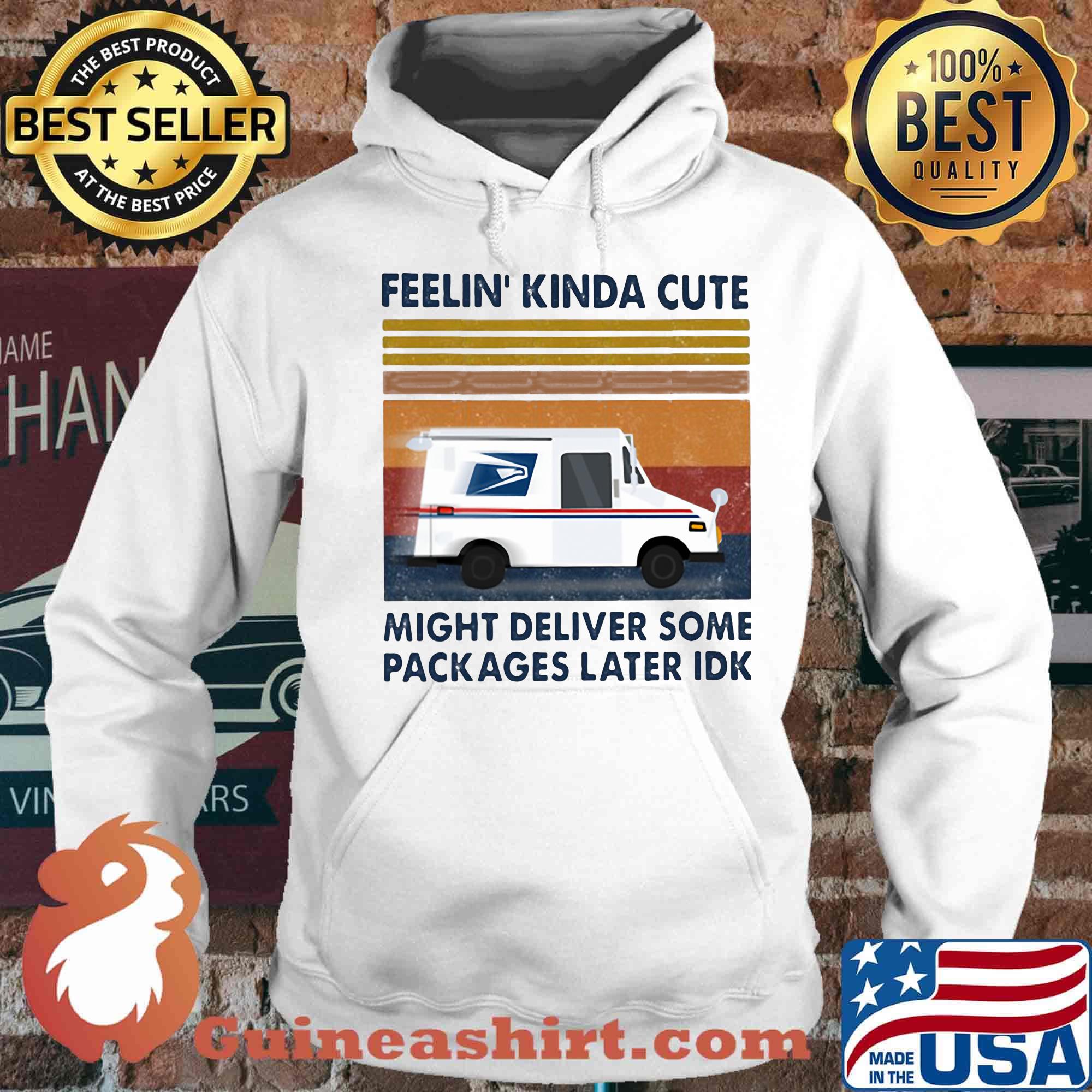 United states postal service feelin kinda cute might deliver some packages later idk vintage retro s Hoodie