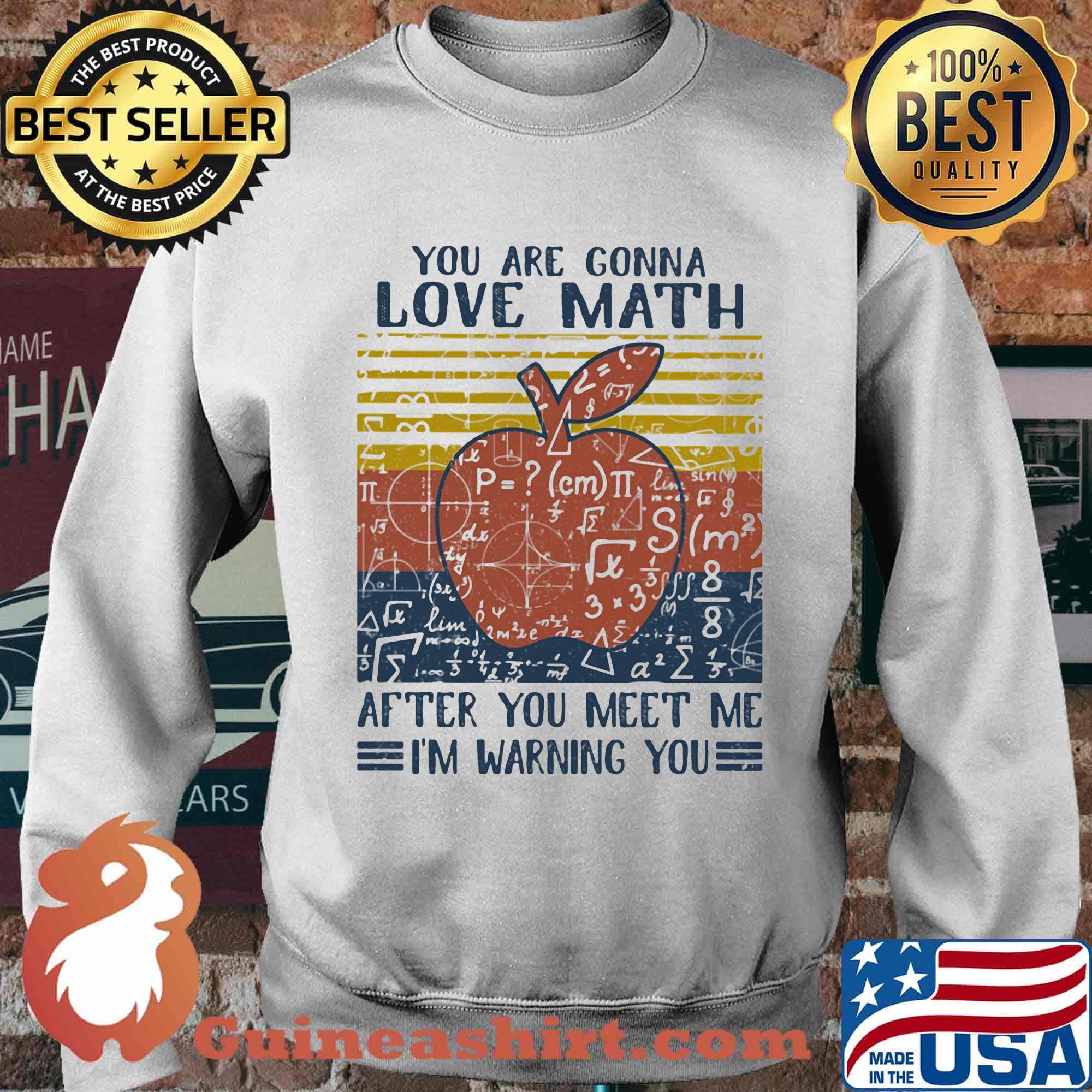 You Are Conna Love Math After You Meet Me I'm Warning You Apple Vintage Retro Shirt Sweater