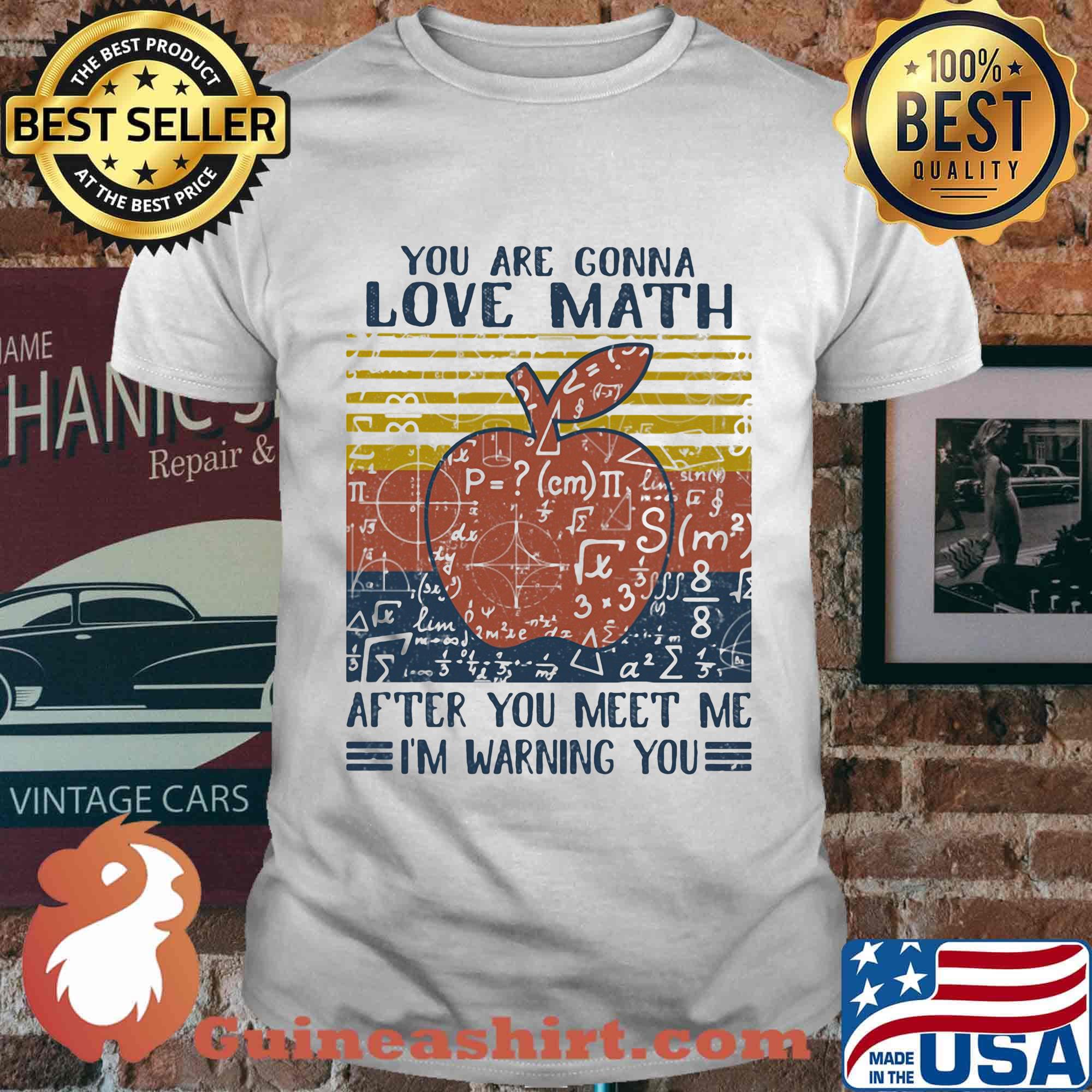 You Are Conna Love Math After You Meet Me I'm Warning You Apple Vintage Retro Shirt