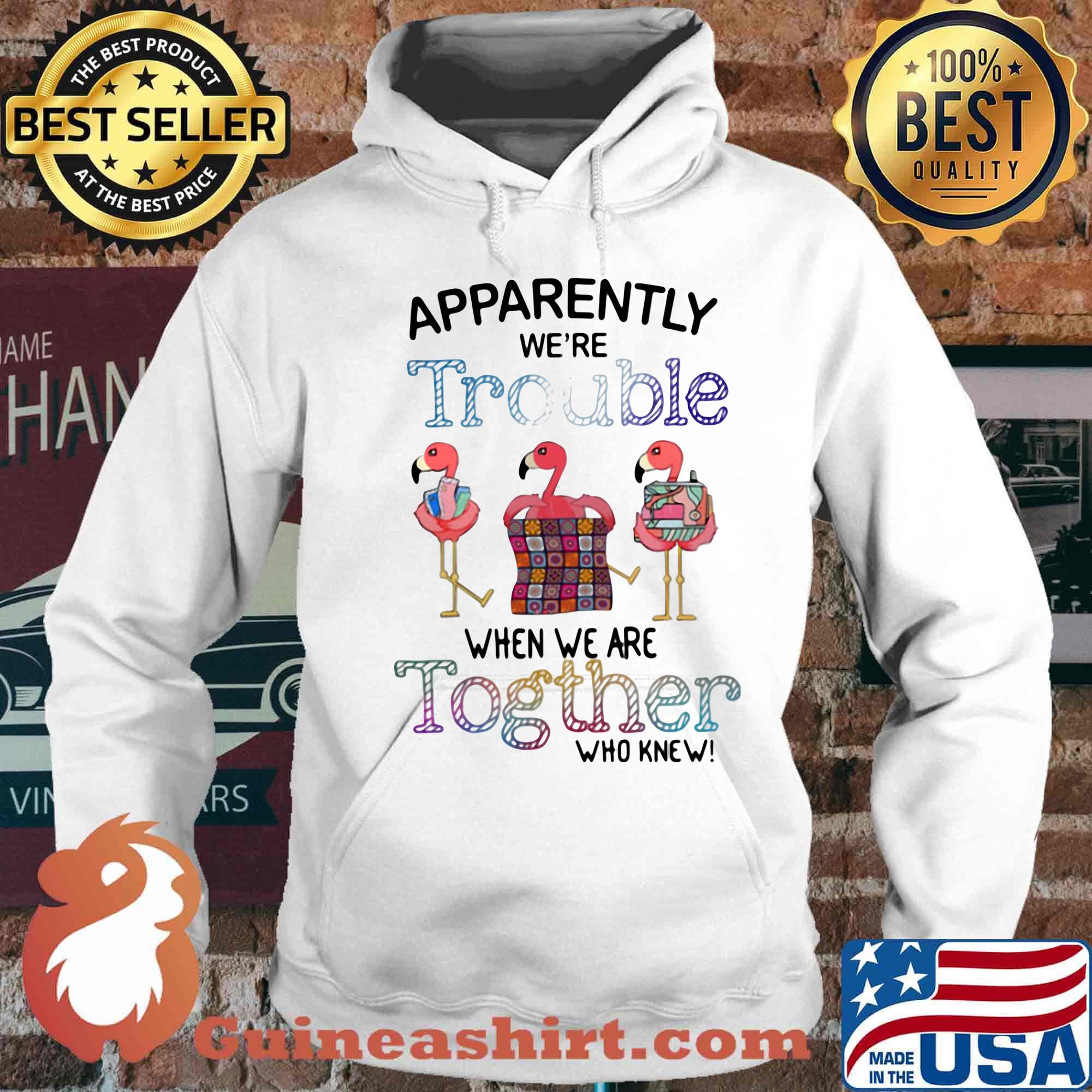 Flamingos apparently we're trouble when we are together who knew s Hoodie