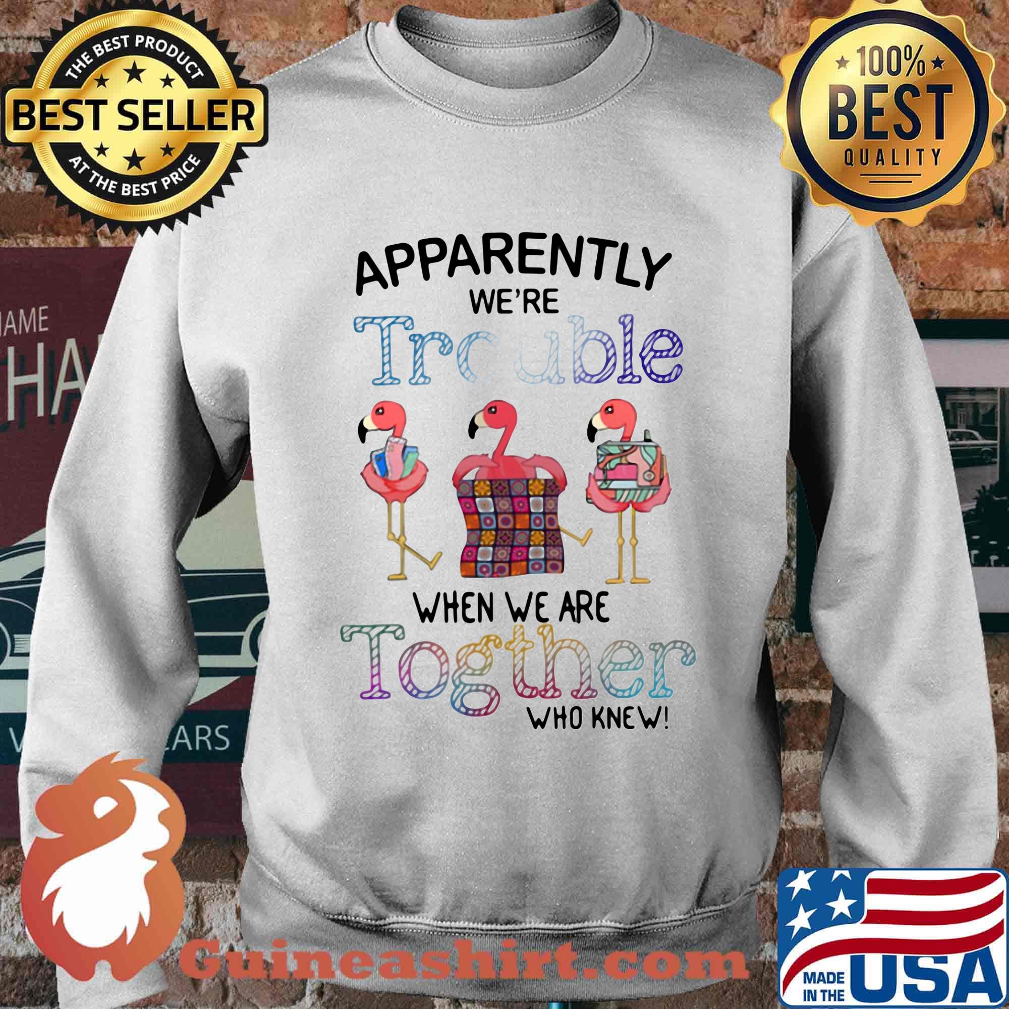 Flamingos apparently we're trouble when we are together who knew s Sweater