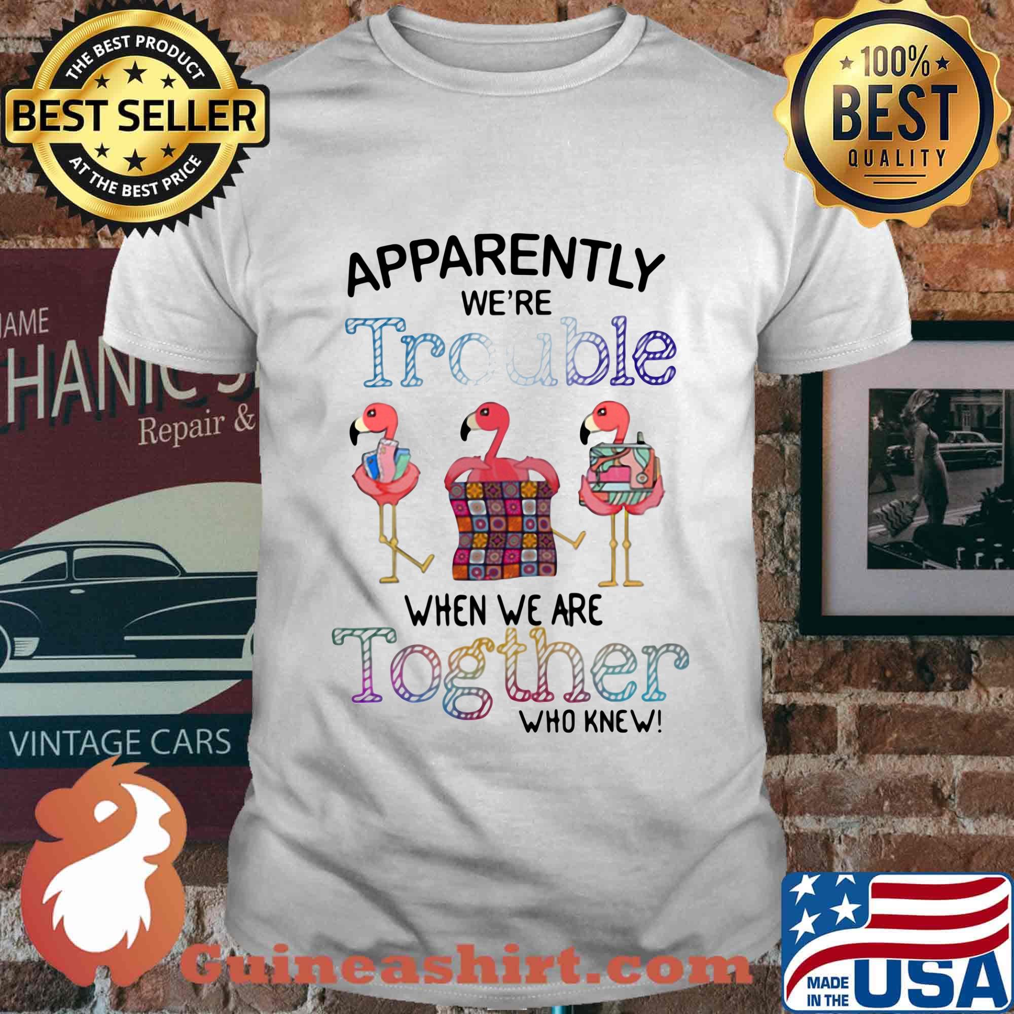 Flamingos apparently we're trouble when we are together who knew shirt