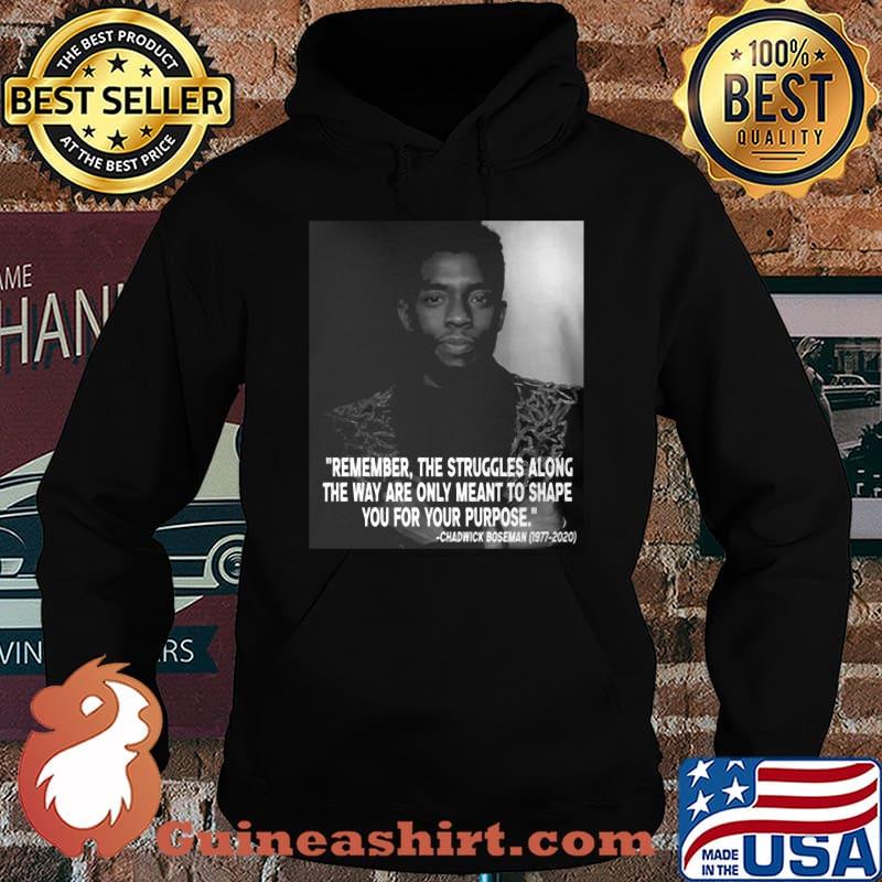 Black panther rip chadwick remember the struggles along the way are only meant to shape you for your purpose 1976 2020 s Hoodie