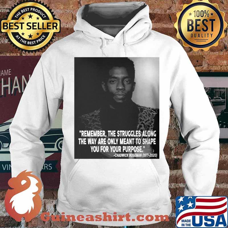 Black panther rip chadwick remember the struggles along the way are only meant to shape you for your purpose 1976 2020 s Hoodie