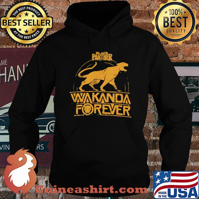 Black panther wakanda forever chadwick boseman rip s Hoodie
