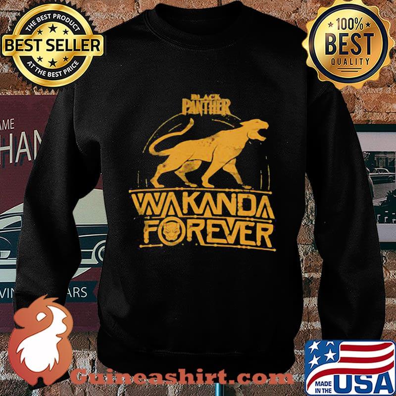 Black panther wakanda forever chadwick boseman rip s Sweater