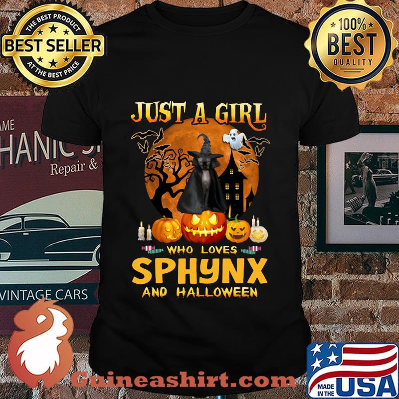 Cat witch just a girl who loves sphynx and halloween shirt