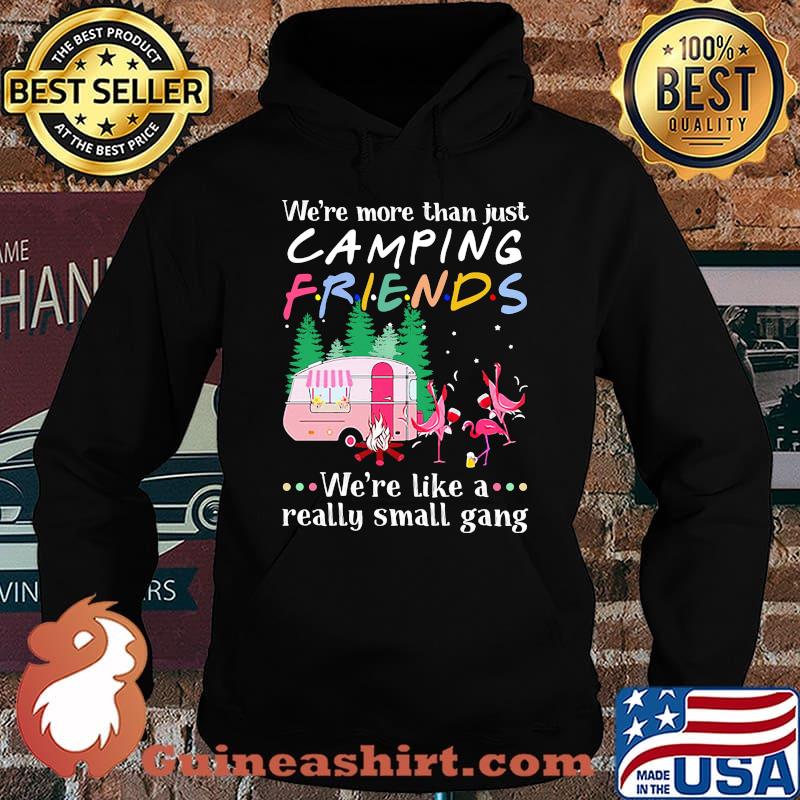 Flamingo we're more than just camping friends we're like a really small gang lights s Hoodie