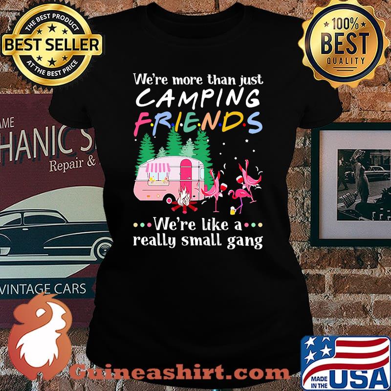 Flamingo we're more than just camping friends we're like a really small gang lights s Laides tee