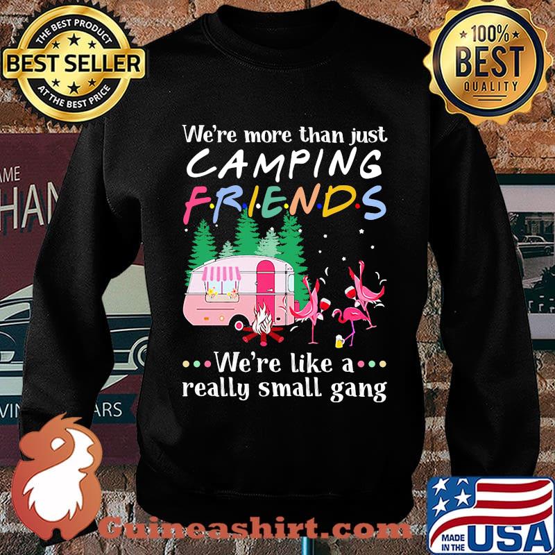 Flamingo we're more than just camping friends we're like a really small gang lights s Sweater
