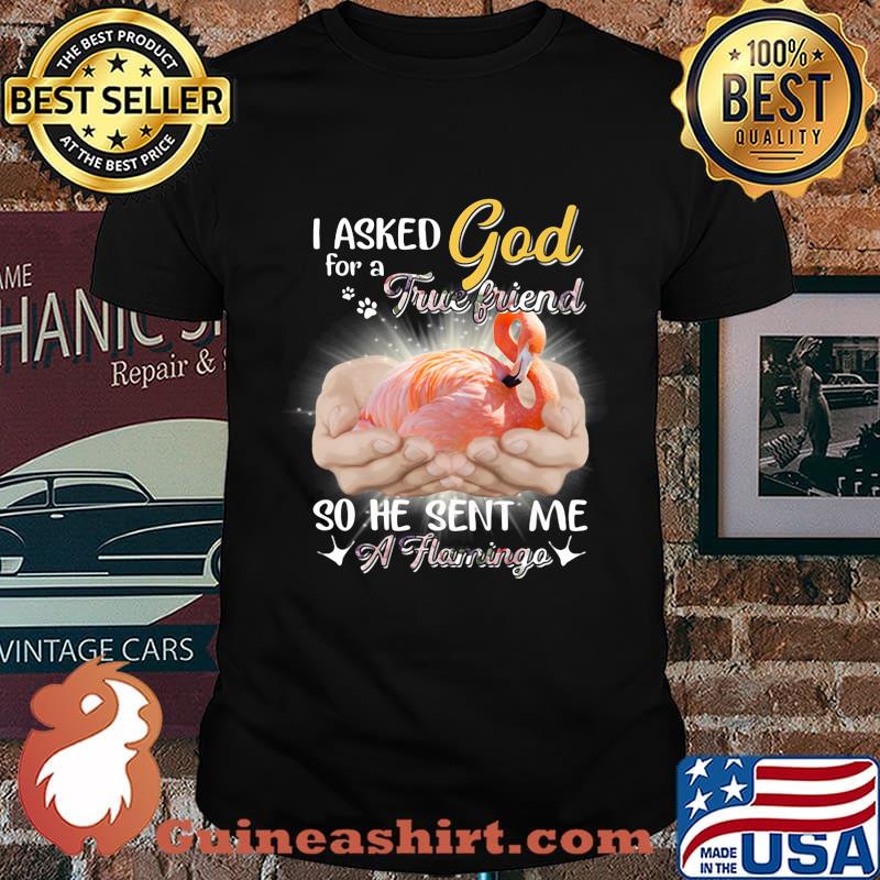 I asked god for a true friend so he sent me a flamingo shirt