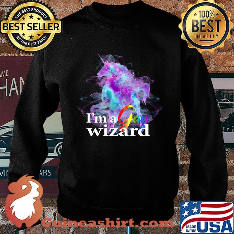 Lgbt horse i'm a gay wizard s Sweater