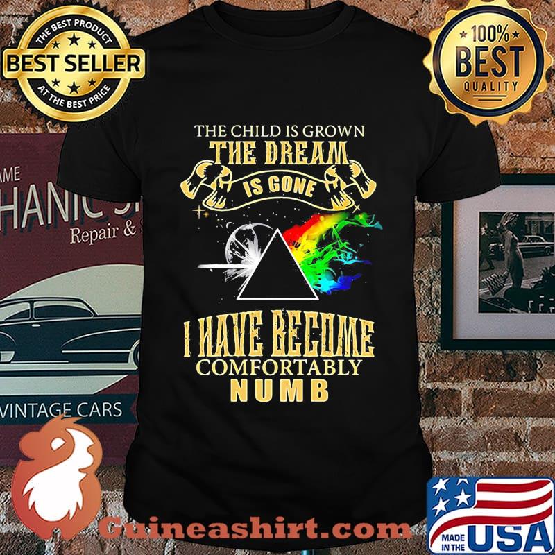 Lgbt pink floyd the child is grown the dream is gone i have become comfortably numb shirt