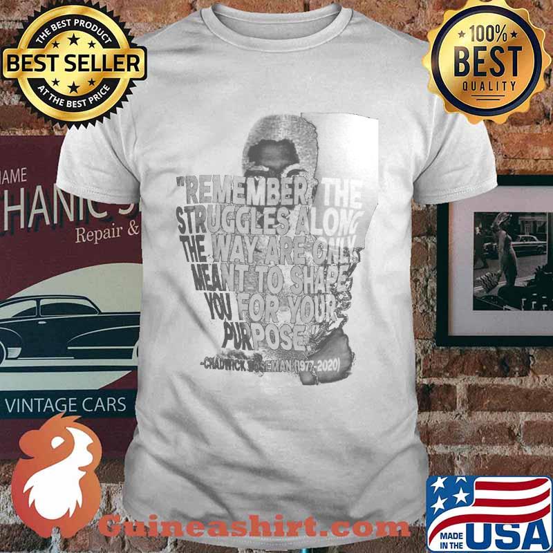Remember the struggles along the way are only meant to shape you for your purpose black panther rip chadwick 1976 2020 picture shirt