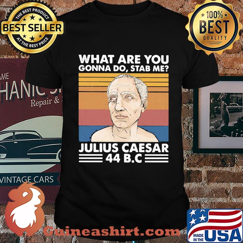 what are you gonna do stab me julius caesar 44 B.C vintage retro shirt