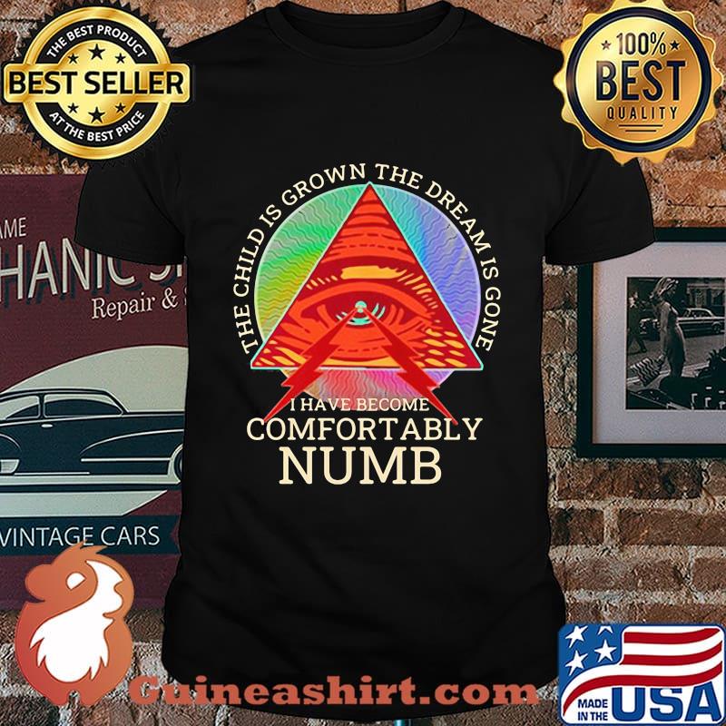 Pink floyd band the child is grown the dream is gone i have become comfortably numb shirt