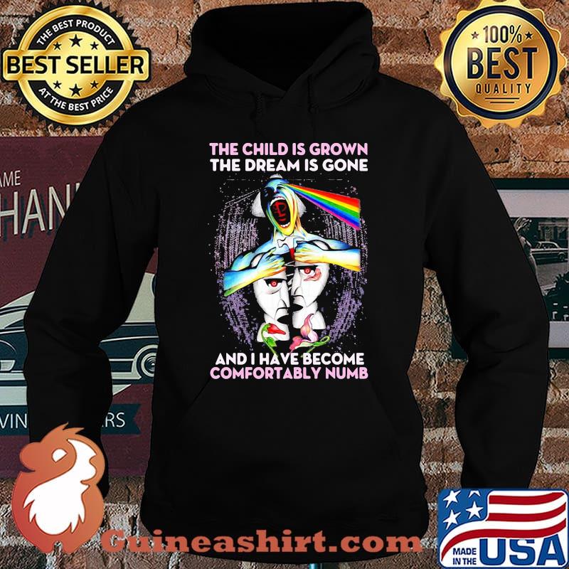 Pink floyd the child is grown the dream is gone and i have become comfortably numb s Hoodie