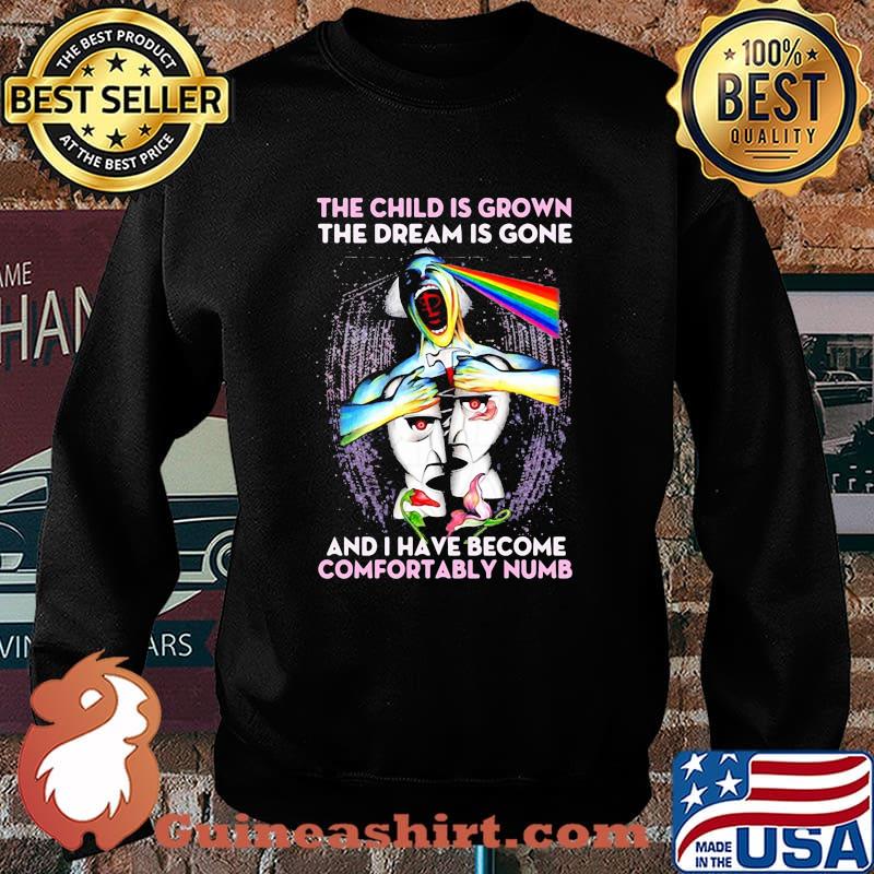 Pink floyd the child is grown the dream is gone and i have become comfortably numb s Sweater