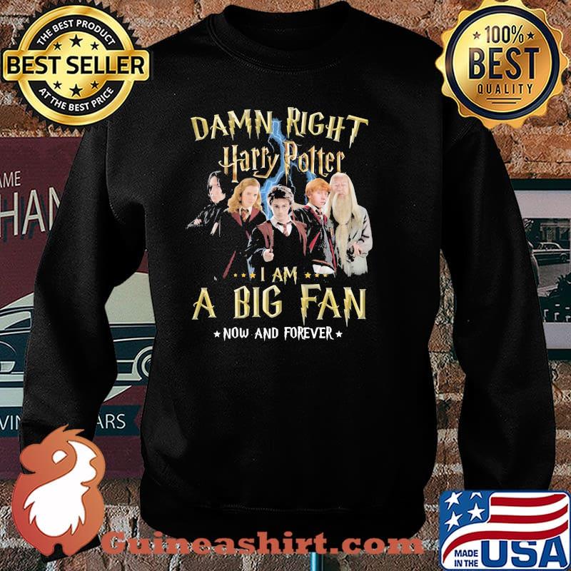Damn Right Harry Potter I Am A Big Fan Now And Forever Stars Shirt Sweater