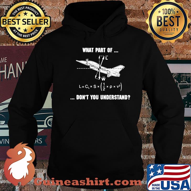 What Part Of Don't You Understand Pilot Shirt Hoodie