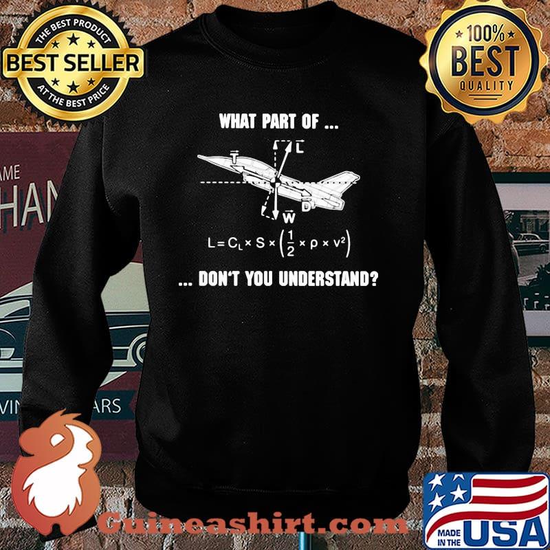 What Part Of Don't You Understand Pilot Shirt Sweater