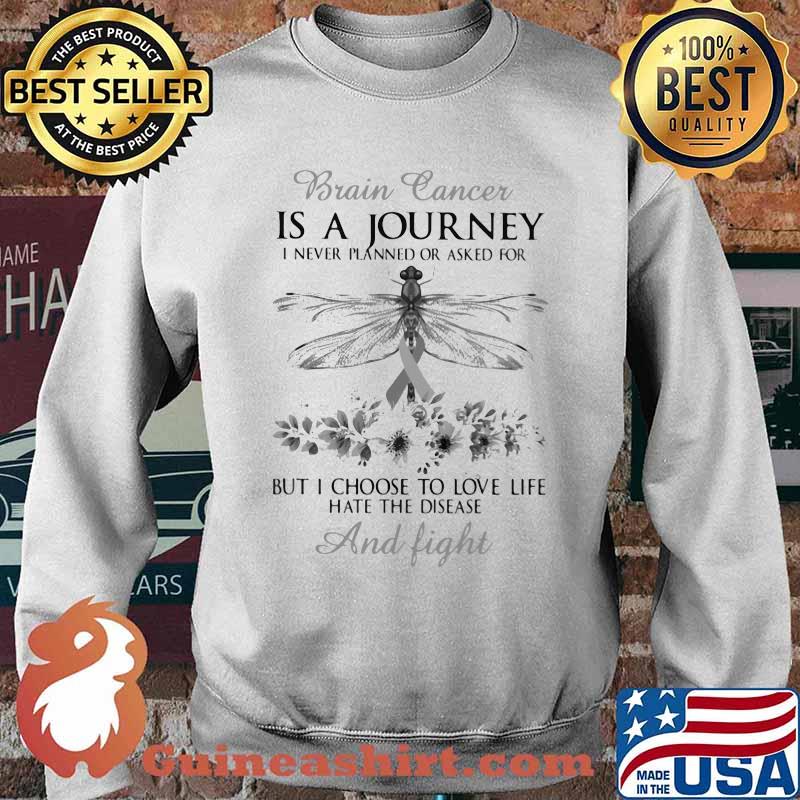 Brain Cancer Is A Journey I Never Planned Or Asked For But I Choose To Love Life Hate the Disease And Fight Dragonfly Flower Shirt Sweater