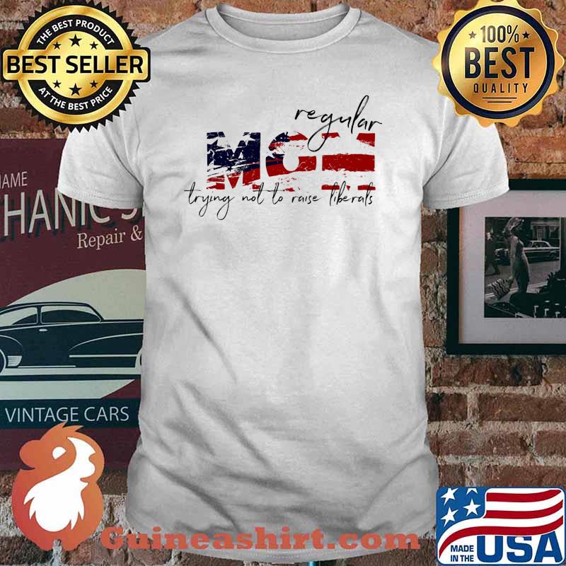Regular Mom Trying Not To Raise Liberals American Flag Shirt