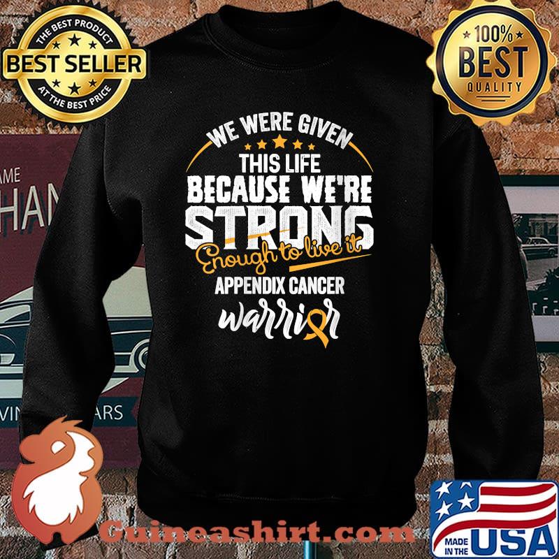 We Were Given This Life Because We're Strong Appendix Cancer Awareness Shirt Sweater