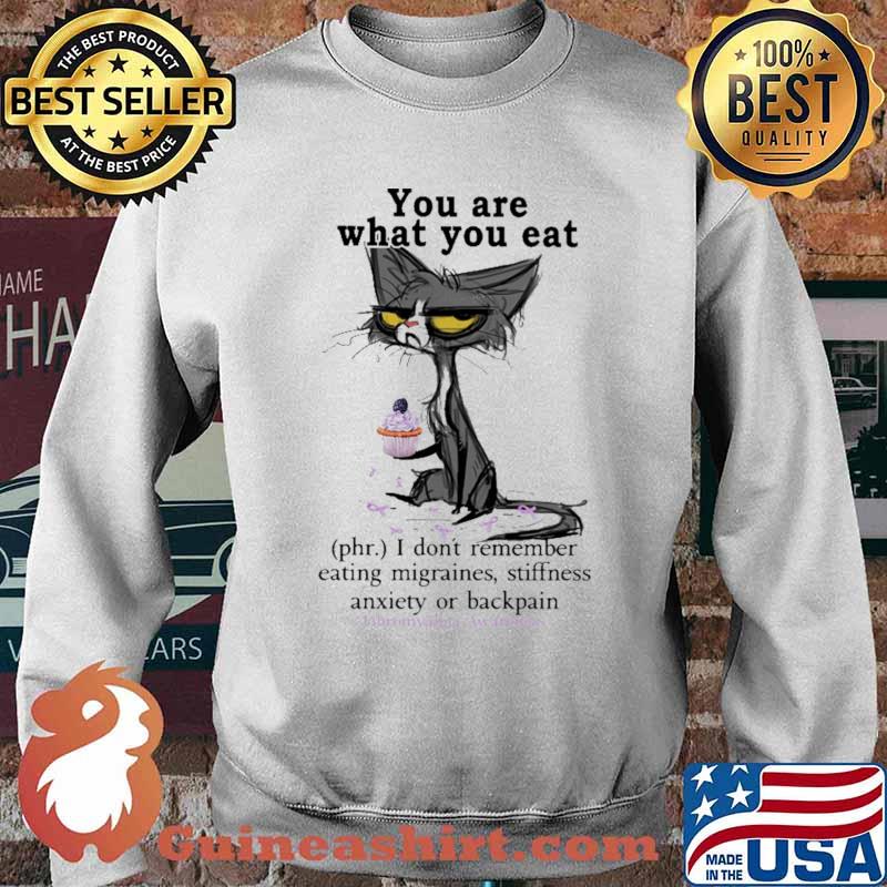 You Are What You Eat I Don't Remember Eating Migraines Stiffness Anxiety Cat Shirt Sweater