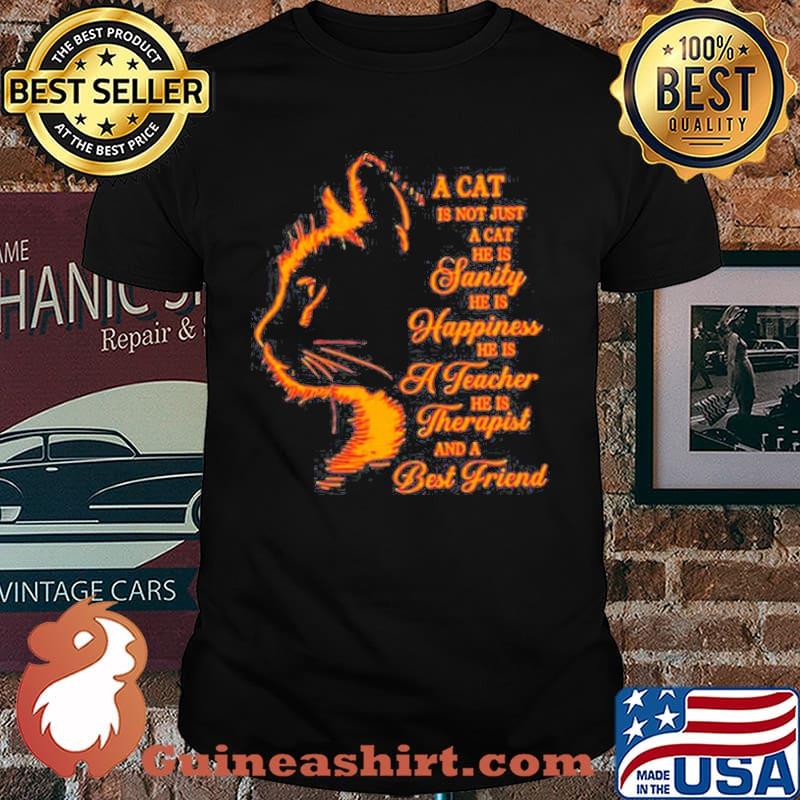 A Cat Is Not Just A Cat He Is Sanity Happiness A Teacher Therapist And A Best Friend Cat shirt