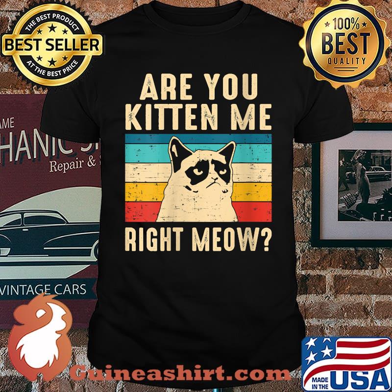 Are You Kitten Me Right Meow Cat Vintage T-Shirt