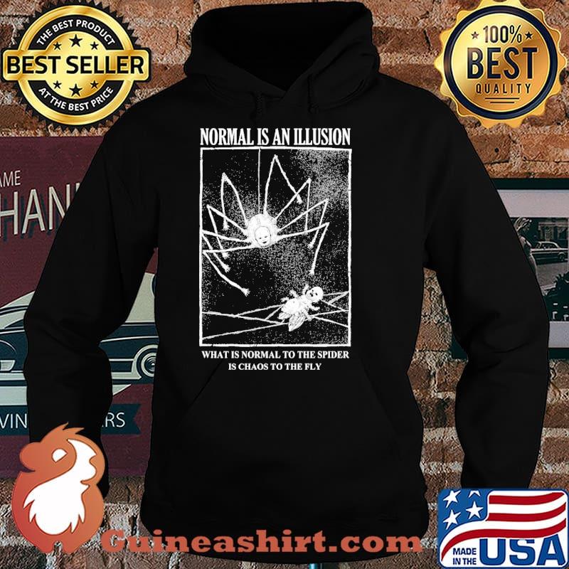 Normal is an illusion what is normal to the spider is chaos to the fly s Hoodie