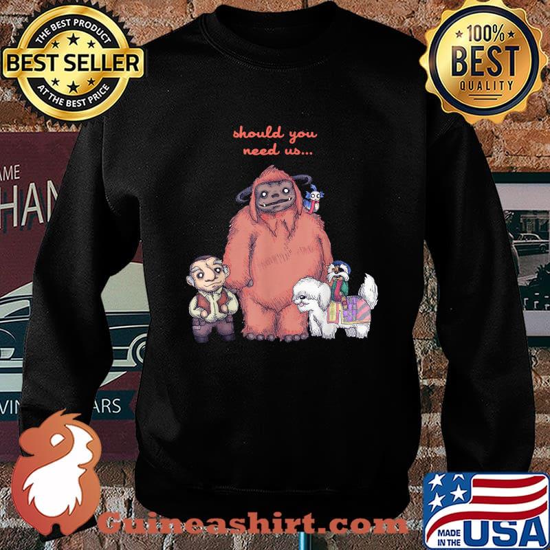 Should You Need Us T-Shirt Sweater