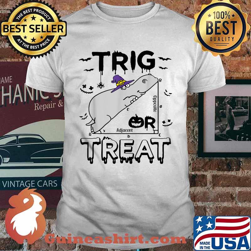 Trig Or Treat Hippopotamus Math Teacher Costume Halloween T-Shirt