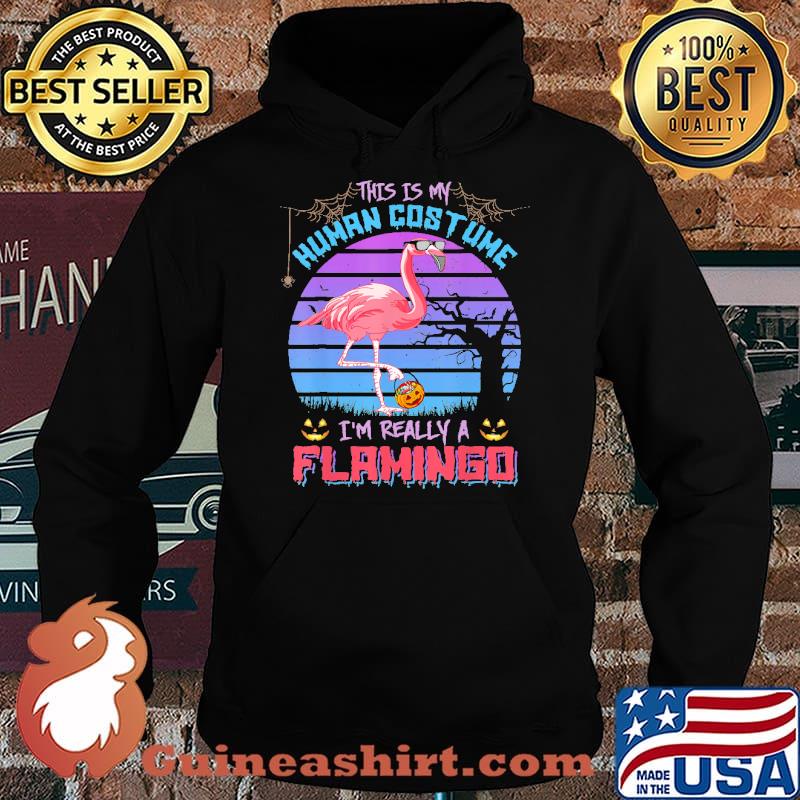 This is my human costume im really a flamimgo candy pumpkin halloween retro s Hoodie