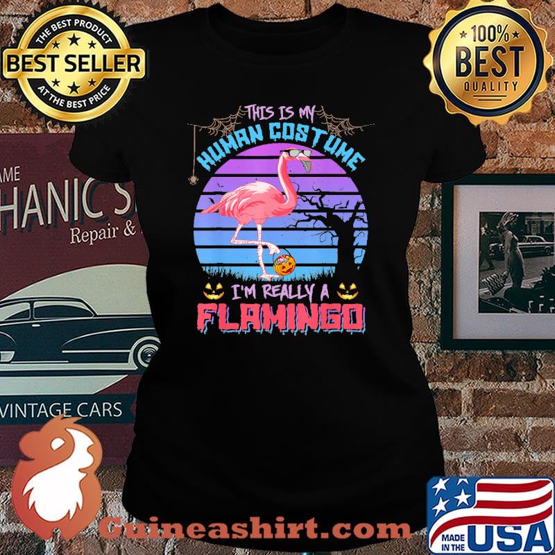 This is my human costume im really a flamimgo candy pumpkin halloween retro s Laides tee