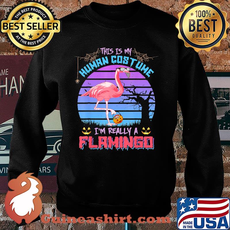 This is my human costume im really a flamimgo candy pumpkin halloween retro s Sweater