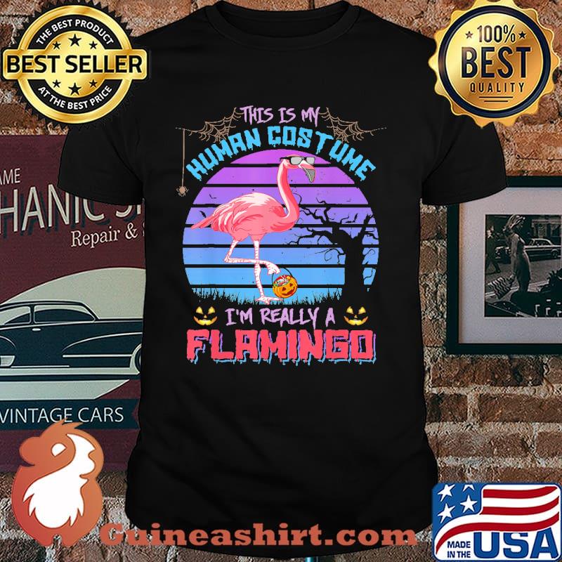 This is my human costume im really a flamimgo candy pumpkin halloween retro shirt